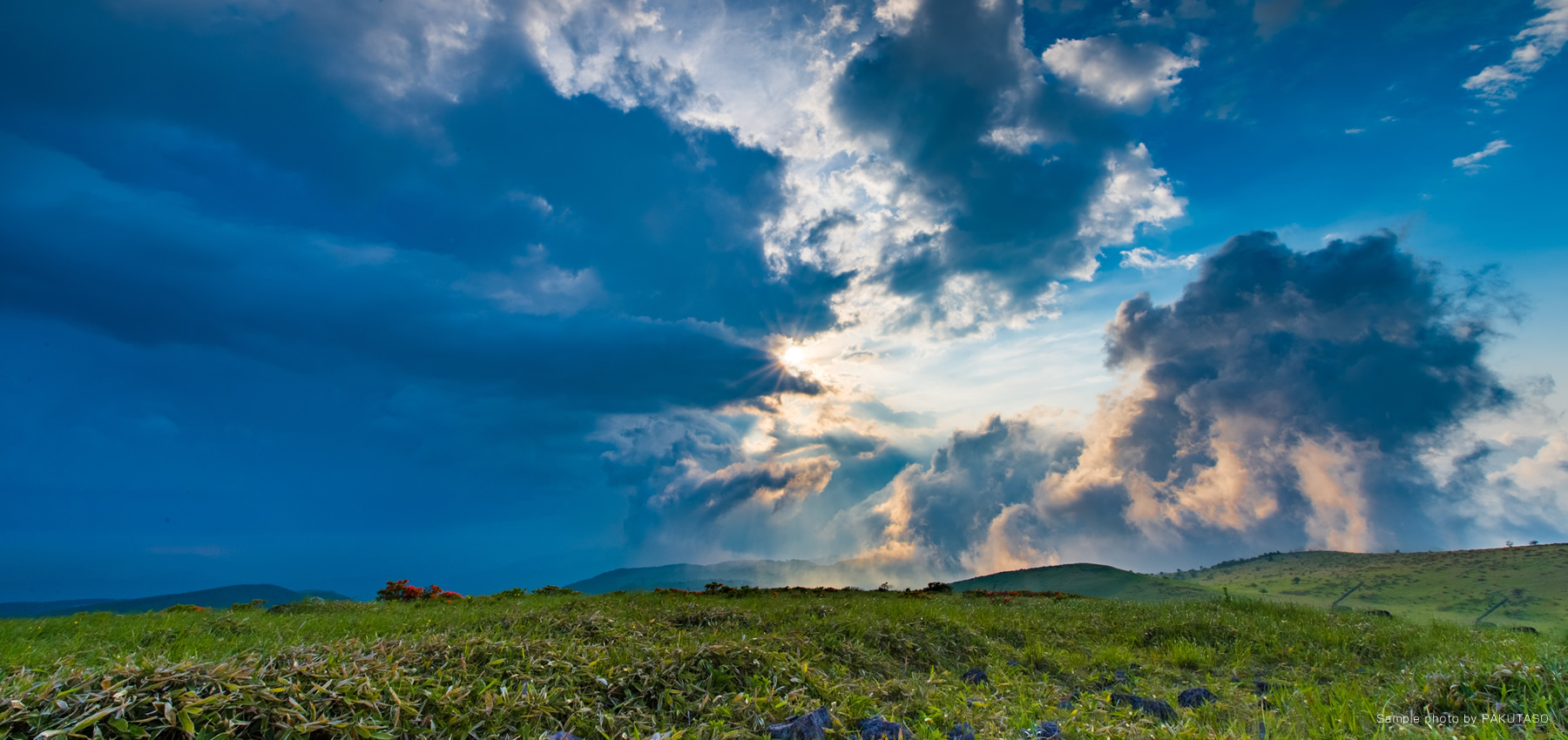 �g�b�v�C���[�W01