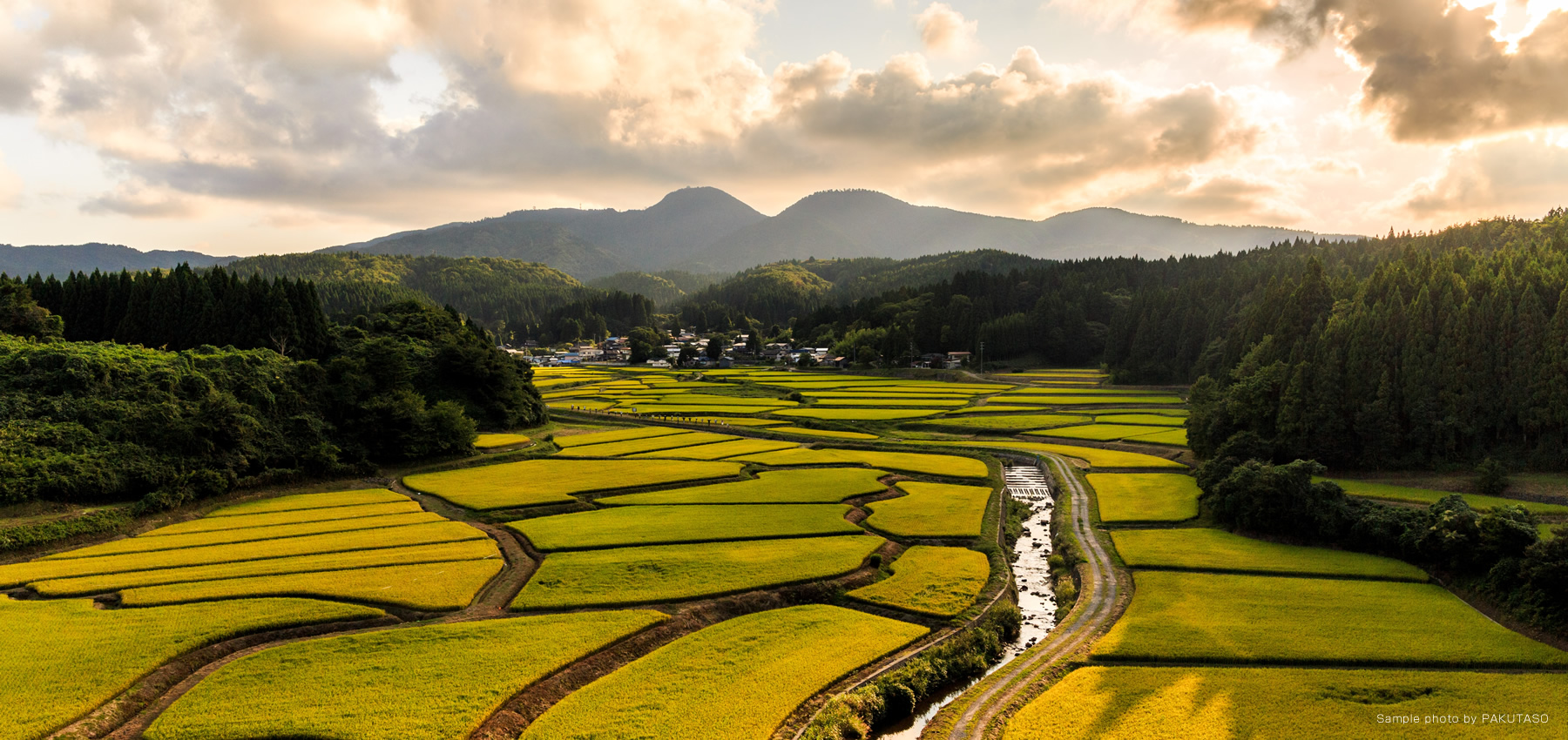 �g�b�v�C���[�W02