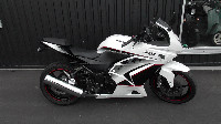 �j���W�� Ninja 250R ETC