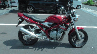 �o���f�B�b�g250