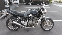 �o���f�B�b�g250