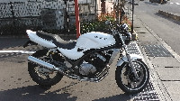 �o���I�X2