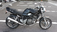 �o���f�B�b�g250