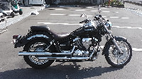 �h���b�O�X�^�[250