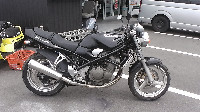 �o���f�B�b�g250