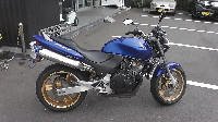 �z�[�l�b�g Hornet