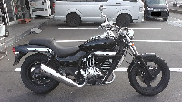 �G���~�l�[�^�[250V