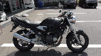 �o���f�B�b�g250V