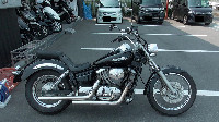 �h���b�O�X�^�[250