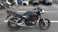 �o���f�B�b�g250V