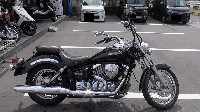 �h���b�O�X�^�[250