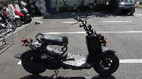 ZOOMER FI�@<�Y�[�}�[FI>