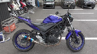 YZF-R25�@�l�C�L�b�h�d�l