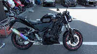 CBR250R�@�l�C�L�b�h�d�l