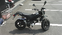 �X�g���[�g�}�W�b�NII