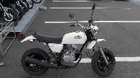 APE (�G�C�v)