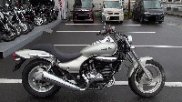 �G���~�l�[�^�[250V