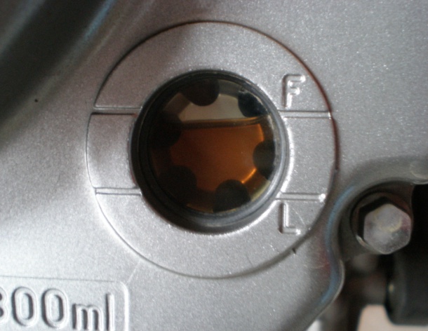 �T�C�g�O���X